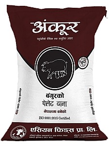 LPF Lactating Pig Feed