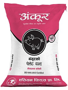 PPF Pregnancy Pig Feed