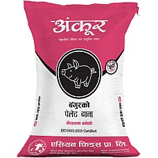 PPF Pregnancy Pig Feed