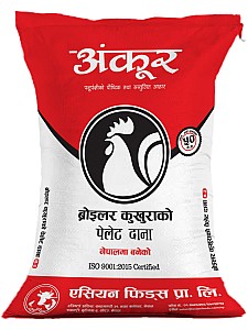 B2 Grower Feed
