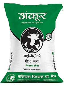 C1-35 Cattle Feed