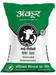C1-50 Cattle Feed