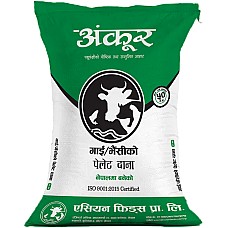 C1-50 Cattle Feed